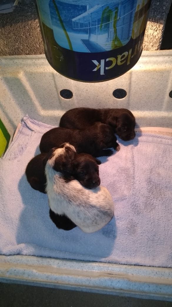 WhatsApp Image 2019-09-09 at 11.56.04 (2)