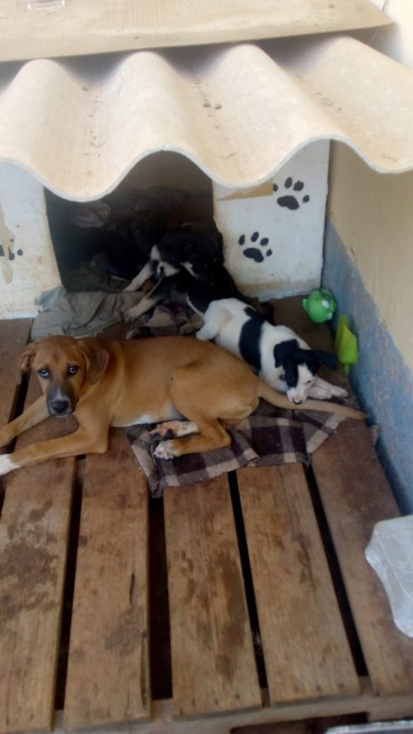 WhatsApp Image 2019-09-09 at 11.56.04 (3)