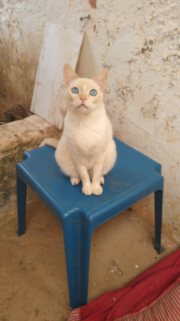 WhatsApp Image 2019-09-09 at 11.56.04 (4)