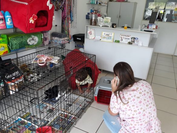 WhatsApp Image 2019-09-09 at 11.56.04 (5)