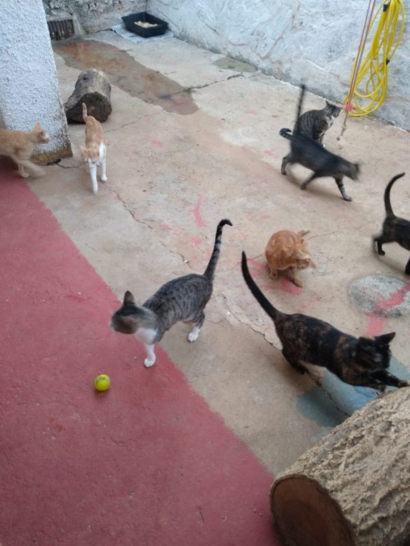 WhatsApp Image 2019-09-09 at 11.56.04