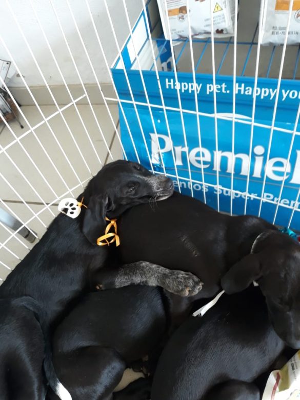 WhatsApp Image 2019-09-09 at 11.56.04 (6)