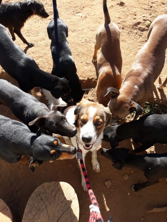 WhatsApp Image 2019-09-09 at 11.56.04 (7)