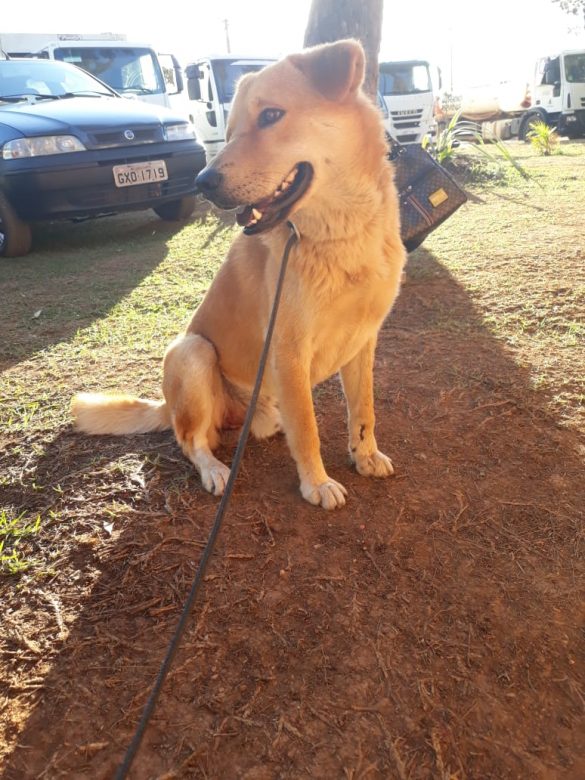 WhatsApp Image 2019-09-09 at 11.56.04 (9)